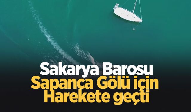 Baro Sapanca Gölü için harekete geçti