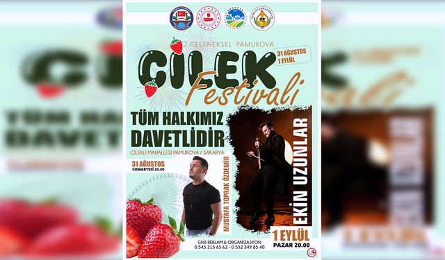 Çileğin ana vatanı Pamukova'da çilek tadında festival! 2 gün sürecek