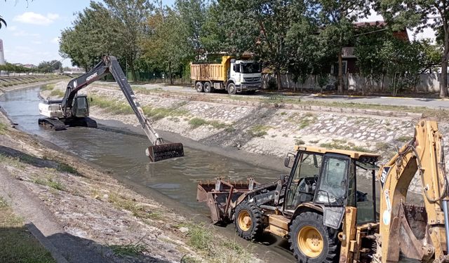 Çark Deresi'nde yaz temizliği