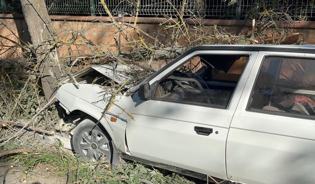 Otomobilin çarptığı ağaç üzerine devrildi