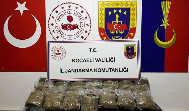 Kocaeli'de 2 araçta 23 kilo bonzai ele geçirildi