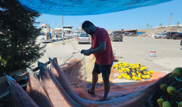 Balıkçılar yeni sezonda palamuttan umutlu