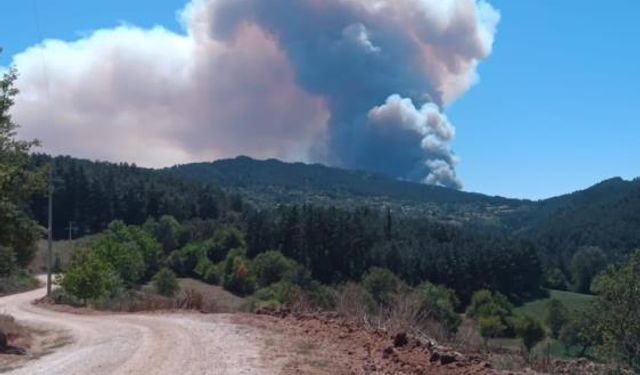 Bolu’da 2 ilçe arasında orman yangını başladı: Dumanlar gökyüzünü kapladı