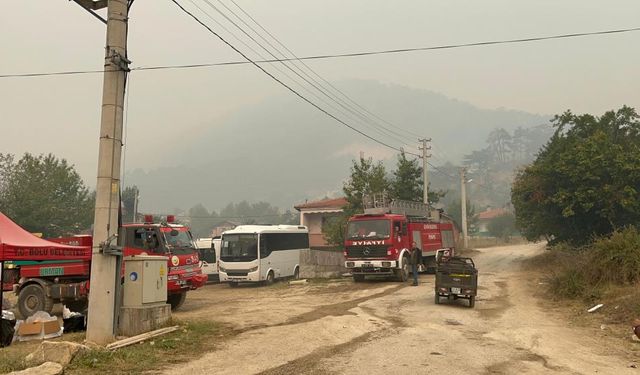 Bolu'daki orman yangınında 490 kişi tahliye edildi, söndürme çalışmaları sürüyor