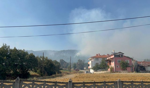 Bolu'da 12 farklı noktadaki yangın 3'e indirildi