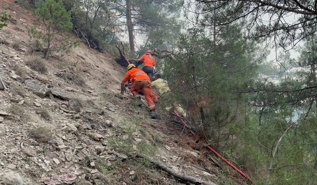 Gönüllüler işlerini bırakıp alevlere koştu