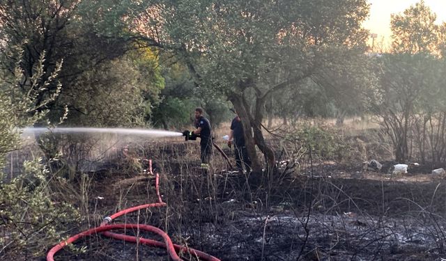 Mangaldan çıkan yangın 2 dönümlük alanı küle çevirdi