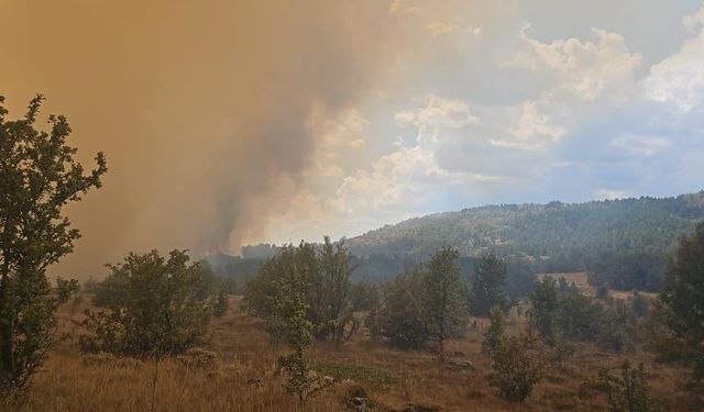 Ankara'da başlayan yangın Bolu'ya sıçradı