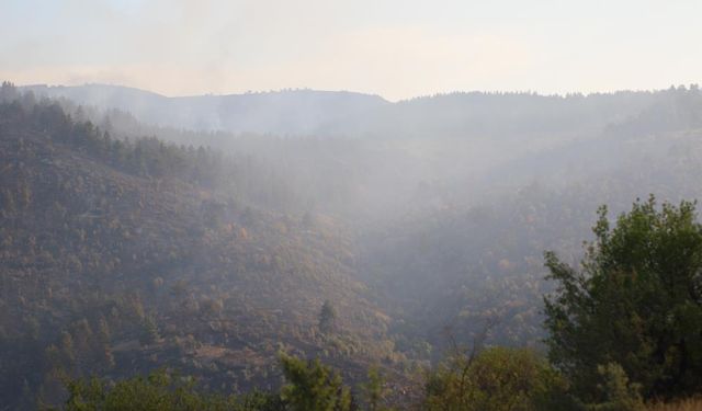 Ankara-Bolu sınırındaki yangına günün ilk ışıklarıyla havadan müdahale başladı