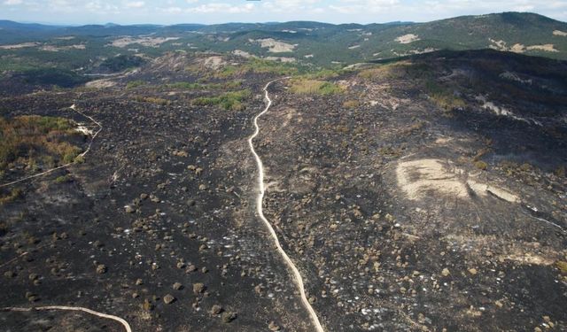 Bolu'da söndürülen yangının feci boyutu gün ağarınca ortaya çıktı