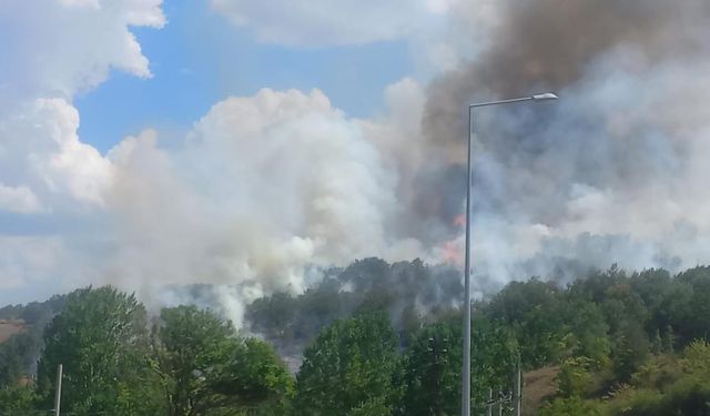 Bilecik'teki yangın bölgesinde soğutma çalışmaları sürüyor