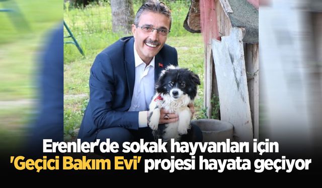 Erenler'de sokak hayvanları için 'Geçici Bakım Evi' projesi hayata geçiyor