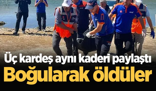 Üç kardeş aynı kaderi paylaştı: Boğularak öldüler