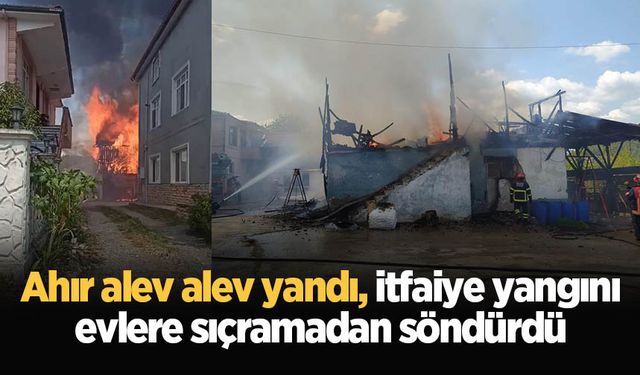 Ahır alev alev yandı, itfaiye yangını evlere sıçramadan söndürdü