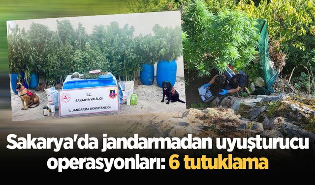 Sakarya'da jandarmadan uyuşturucu operasyonları: 6 tutuklama