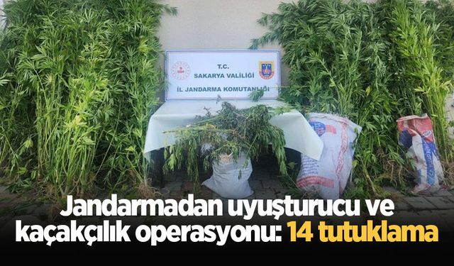 Jandarmadan uyuşturucu ve kaçakçılık operasyonu: 14 tutuklama