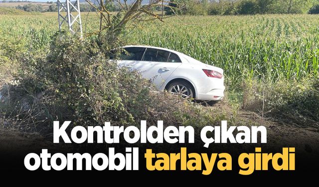 Kontrolden çıkan otomobil tarlaya girdi