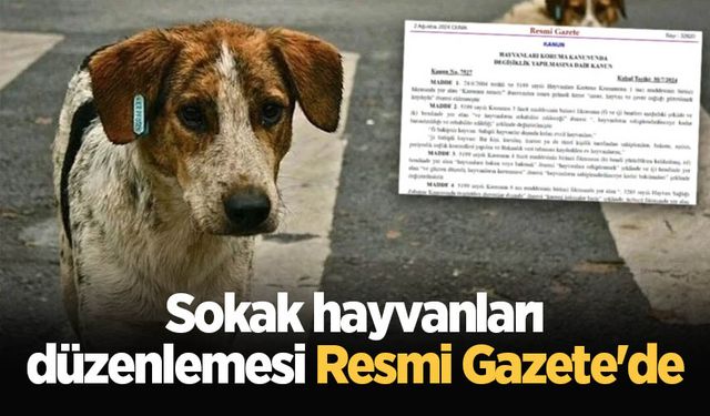 Sokak hayvanları düzenlemesi Resmi Gazete'de