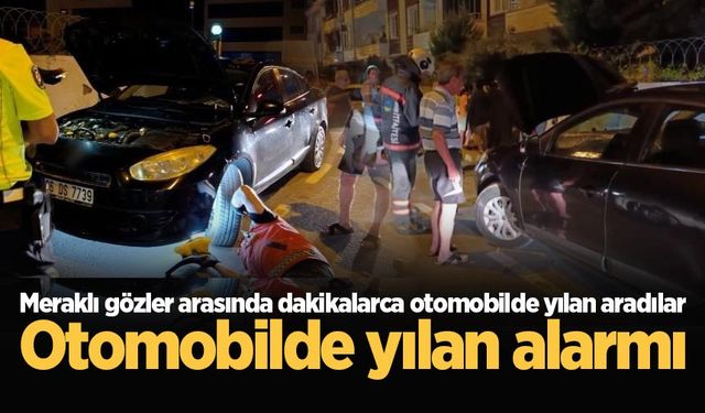 Otomobilde yılan alarmı: Meraklı gözler arasında dakikalarca otomobilde yılan aradılar