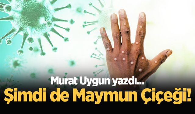 Şimdi de Maymun Çiçeği..!