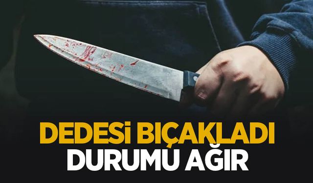 Dede torununu bıçakladı