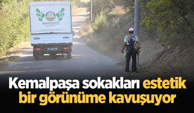 Kemalpaşa sokakları estetik bir görünüme kavuşuyor