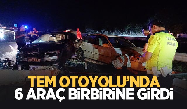 Sakarya-Düzce sınırında 6 araç birbirine girdi