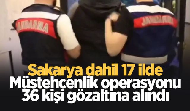 Müstehcen görüntü operasyonu: 36 gözaltı