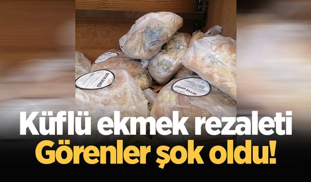 Küflü ekmek rezaleti: Görenler şok oldu!