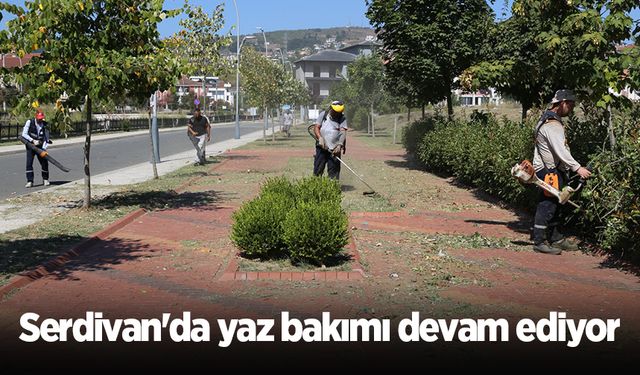 Serdivan'da yaz bakımı devam ediyor