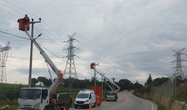 SEDAŞ, leyleklerin güvenliği yolculuğu için Kocaeli’de harekete geçti