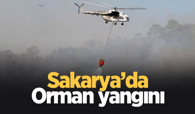 Adapazarı'nda orman yangını