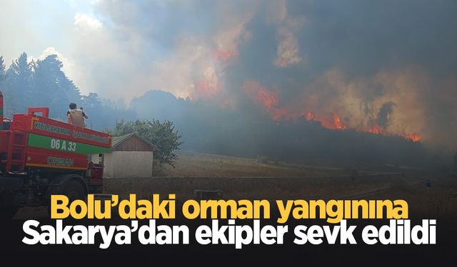 Orman yangını için Sakarya'dan ekipler sevk edildi