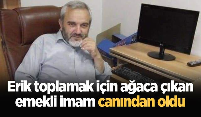 Erik toplamak için ağaca çıkan emekli imam canından oldu