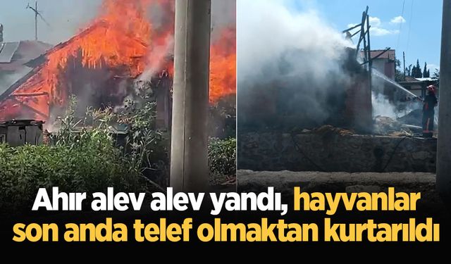 Ahır alev alev yandı, hayvanlar son anda telef olmaktan kurtarıldı