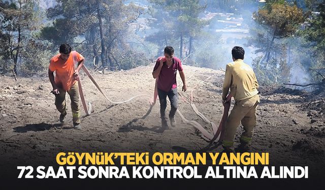 Göynük'teki orman yangını kontrol altına alındı