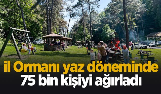 Benzersiz doğasıyla yazın yıldızı İl Ormanı Tabiat Park oldu