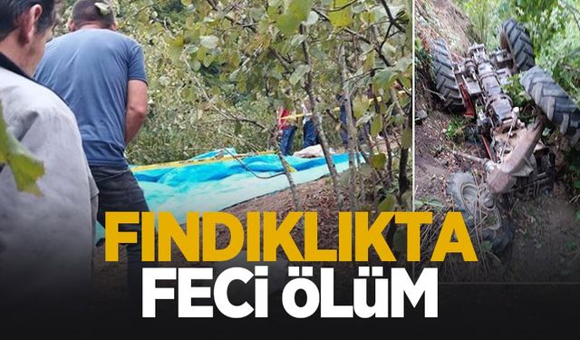 Fındıklıkta traktör kazası; Sürücü öldü