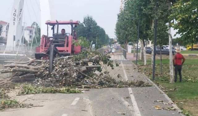 Çark Deresi kenarında temizlik harekatı