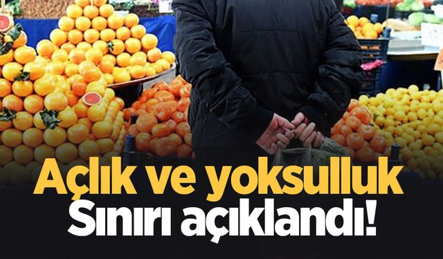 Türk İş açlık ve yoksulluk sınırını açıkladı