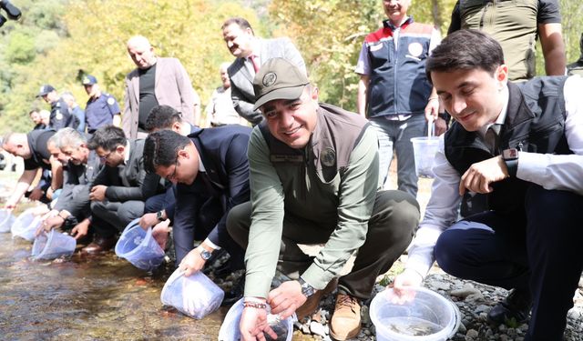 Kırmızı benekli alabalıklar derelerle buluştu