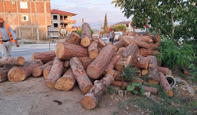 Virajı alamadı, tomruklar yola saçıldı