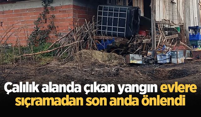 Çalılık alanda çıkan yangın evlere sıçramadan son anda önlendi