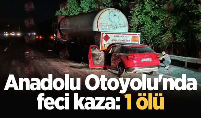 Anadolu Otoyolu'nda feci kaza: 1 ölü