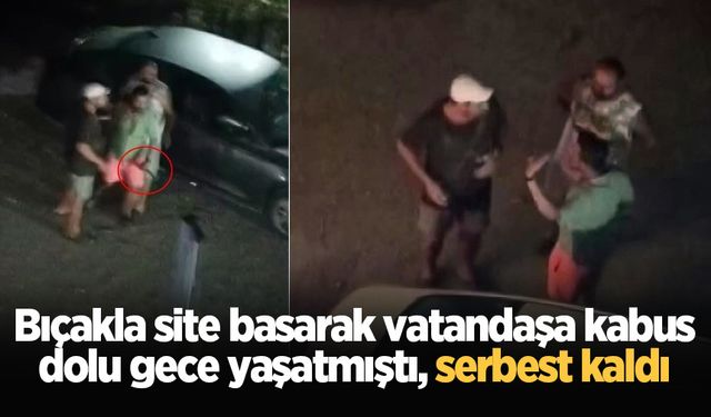 Bıçakla site basarak vatandaşa kabus dolu gece yaşatmıştı, serbest kaldı