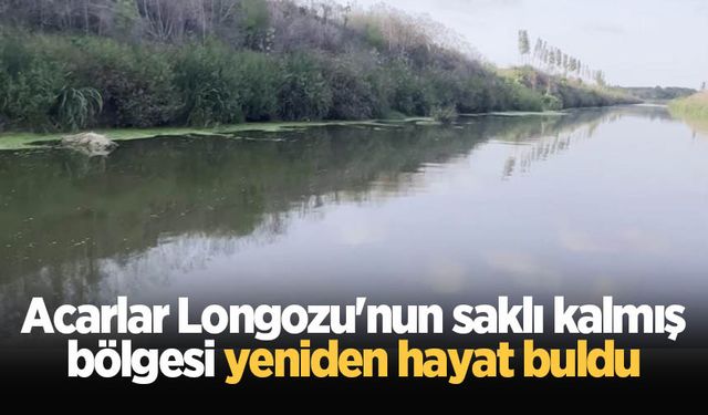 Acarlar Longozu'nun saklı kalmış bölgesi yeniden hayat buldu