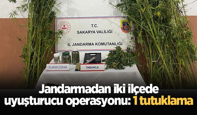 Jandarmadan iki ilçede uyuşturucu operasyonu: 1 tutuklama