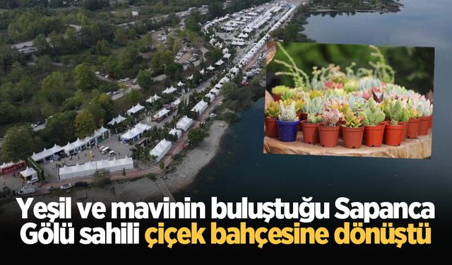 Yeşil ve mavinin buluştuğu Sapanca Gölü sahili çiçek bahçesine dönüştü