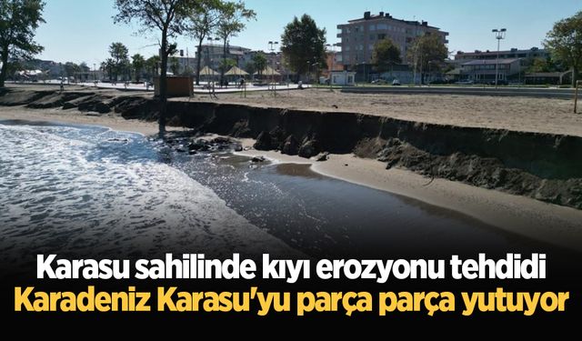 Karasu sahilinde kıyı erozyonu tehdidi: Karadeniz Karasu'yu parça parça yutuyor