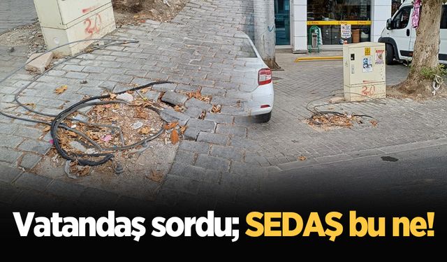 Vatandaş sordu; SEDAŞ bu ne!